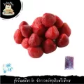 1KG/PACK สตรอเบอร์รี่ แช่แข็ง FROZEN STRAWBERRY