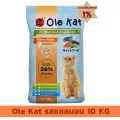 ส่งฟรี  Ole Kat 3 Shape รสแซลมอน 10 KG