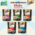 70 กรัม อาหารเปียกแมว Sheba ชีบา อาหารแมว อาสำหรับ แมว ทุกช่วงวัย อาหารเปียก สำหรับแมว