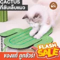 พร้อมส่ง! MIAOFAIRY CATCUS ที่ลับเล็บ สำหรับน้องแมว