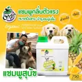 แชมพูหมากลิ่นตัวแรง หมาเหม็นสาบ 1000ml ราคา 750บ