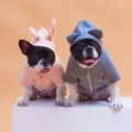 Paws Hoodie เสื้อน้องหมาน้องเเมว