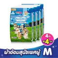 แมนเนอร์แวร์ เพศผู้ ขนาดM 4ชิ้น *4 แพ็ค