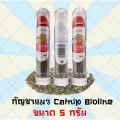 กัญชาแมว bioline Catnip ราคาประหยัด