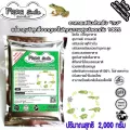 FrogSmileฟรอกสไมล์ส่งฟรีขนาด2,000กรัมอาหารเสริมกบเกรดพิเศษจากแร่ธาตุบริสุทธิ์จากภูเขาไฟคุณภาพสูงธรรมชาติ100%โตเร็ว/ลดตาย