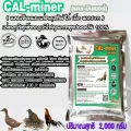 CalMinerแคลมินเนอร์2,000ก.อาหารเสริมไก่เป็ดนกกระทาแคลเซียมและแร่ธาตุเสริมบริสุทธิ์ธรรมชาติ100%เข้มข้นเกรดพิเศษส่งฟรี