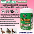 CalMinerแคลมินเนอร์1,000ก.อาหารเสริมไก่เป็ดนกกระทาแคลเซียมและแร่ธาตุเสริมบริสุทธิ์ธรรมชาติ100%เข้มข้นเกรดพิเศษ