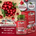 Star Herb ผลิตภัณฑ์เสริมอาหาร URO PAC200 สกัดจากแครนเบอร์รีเข้มข้น 150 เท่า ป้องกันการติดเชื้อในทางเดินปัสสาวะ ผิวใส