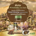 Star Herb สารสกัดโสมทะเลทราย Desert Ginseng Extract 50 แคปซูล เพิ่มภูมิคุ้มกันร่างกาย 50 แคปซูล
