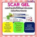 เจลแต้มรอยแผลเป็น รอยสิว สการ์ เจล กิฟฟารีน Scar Gel GIFFARINE