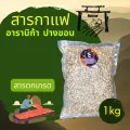 สารกาแฟ อาราบิก้า บ้านปางขอน เชียงราย_ตกเกรด_ขนาด 1 กิโลกรัม