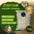 สารกาแฟ อาราบิก้า ปางขอน เชียงราย - Washed Process - เกรดพรีเมียม ขนาด 1 กิโลกรัม