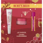 Burt's Bees Lip Passion 22