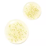 Guerlain New Advances Youth Water Oil 50ml