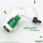 [Free delivery! Ready to deliver] Lur Skin Tea Tree Series Essential Serum 30 ML 1 bottle of concentrated serum, helping to reduce acne, clear skin, control oil