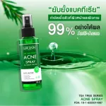[Free delivery, fast delivery] Lurskin Tea Tree Series Acne Spray 120 ml 1 bottle. Get rid of acne on the back and body, acne, inflammation, pimples.