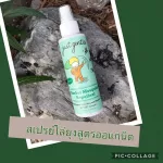 Just Gentle สเปรย์ไล่ยุง Herbal Mosquito Repellent Spray ขนาด 100 มล.
