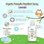 Kindee สเปรย์กันยุงออร์แกนิค กลิ่นลาเวนเดอร์ สำหรับเด็ก 1 ขวบขึ้นไป ขนาด 60ml
