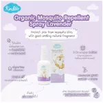 Kindee Protective Spray Laveder 60 ml. -Kindy Mosquito Spray for Children Lavigal smell 60 ml.