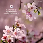 Giffarine Hyaya Inthane Cevite, Pre-Giffarine Hya Intensive Whitening Pre-Serum serum, 27 ml.