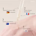 Giffarine Giffarine Giffarine