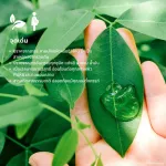 NAPA Goodness Serum Aris Essence Serum and nourishing in one bottle size 30 ml.