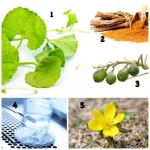 DERMA Science Serum C+ Multi-Serum helps to lift the face to be firm. Reduce wrinkles Exfoliating dead skin cells, vitamin C from South Korea 50 ml.