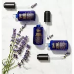 Kiehl’s Midnight Recovery Concentrate