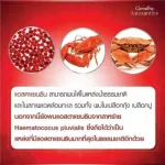 ซีรั่ม ลดริ้วรอย Astaxanthin Age Defying Giffarine แอสตาแซนธิน เอจ-ดีไฟอิ้ง อินเทนซีฟ สูตรเข้มข้นพิเศษ เนื้อบางเบา