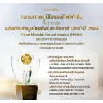 กิฟฟารีน อามิตี้ เซ็ท แป้ง โรลออน โคโลญจ์ อามิตี้ Amity Giffarine