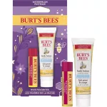 Burt's Bees Hive Favorites Watermelon Gift 22