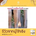 Skin cream, ginseng cream, coconut, white skin, clear skin, reduce cracked skin, ginseng scars, coconut cream, coconut cream, 500ml coconut lotion.