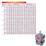 Gear pump inside the linear connection Medium pressure pump Medium