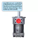 Gear pump inside the linear connector, high pressure pump