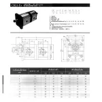 CBLSF **/** Gear pump series