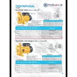 THAISIN ปั๊มหอยโข่งไฟฟ้า 4 HP ขนาดท่อ 4x4” รุ่น TSM-S400/4 มอเตอร์ ขดลวดทองแดงแท้ Motor Copper Wire ใบพัด เหล็กหล่อ