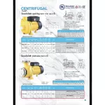 THAISIN ปั๊มหอยโข่งไฟฟ้า 3 HP ขนาดท่อ 3x3” รุ่น TSM-300M มอเตอร์ ขดลวดทองแดงแท้ Motor Copper Wire ใบพัด เหล็กหล่อ รับประกันคุณภาพ