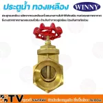 Winny ประตูน้ำ ทองเหลือง ผลิตจากทองเหลืองแข็งแรงทนทานไม่ทำให้เกิดสนิม 1¼ นิ้ว ทนทาน ไม่เป็นสนิม รับประกันคุณภาพ