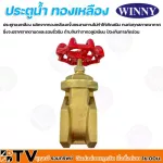 Winny ประตูน้ำ ทองเหลือง ผลิตจากทองเหลืองแข็งแรงทนทานไม่ทำให้เกิดสนิม 1¼ นิ้ว ทนทาน ไม่เป็นสนิม รับประกันคุณภาพ