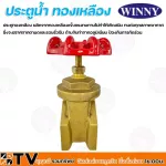 Winny ประตูน้ำ ทองเหลือง ผลิตจากทองเหลืองแข็งแรงทนทานไม่ทำให้เกิดสนิม 1¼ นิ้ว ทนทาน ไม่เป็นสนิม รับประกันคุณภาพ