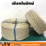 AAA grade giant rope, size 4 mm.- 10 mm. The lightest weight Flexible, strong, able to float, divide, sell 1 kilo. Quality guaranteed.
