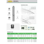 Set DC Mercury 500W into the pond 4 "water out 1.5" Genius + Solar Cell 340W 2 panels with Summers Motorbus Lesla Cell