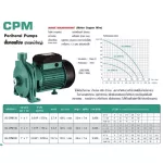 Electric Pump, electricity, SG-CPM-130, 1 inch 0.5 horsepower 220V Shimge, water pump, water pump Water pump, pump, water delivery, free delivery throughout Thailand Collect money