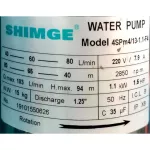 Shimge Ground Pump 1.25 "1.5HP 13 SIMs, 4SPM4/13-1.1-F4 220V. ** Free delivery Collecting the destination **