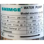 Shimge 2 "Ground Pump 10" 10 E10