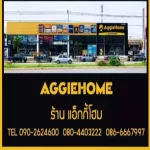 ข้อต่อ สามทางYทองเหลือง 2 หุนครึ่ง/8mm./5/16 จัดส่ง kerry