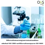 Flat Bottom Flask for Science, Master's Master, Land bottom for Science, 250ml.