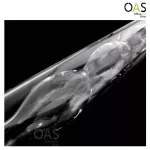 Condenser for Science Condenser for Science 500ml