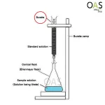 Burette for Measuring the Volume of Liquids Beauty for Liquid volume 50 ml 1642