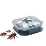 Tokai, a 4 -way miracle cockroaches for safety and clean, hygienic For a good life